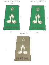 TKU Pramuka Penegak/Pandega